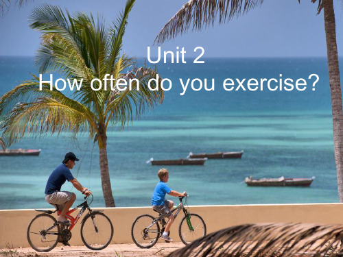 人教 英语八年级上册Unit2 Section B 1a-1e (共21张PPT)