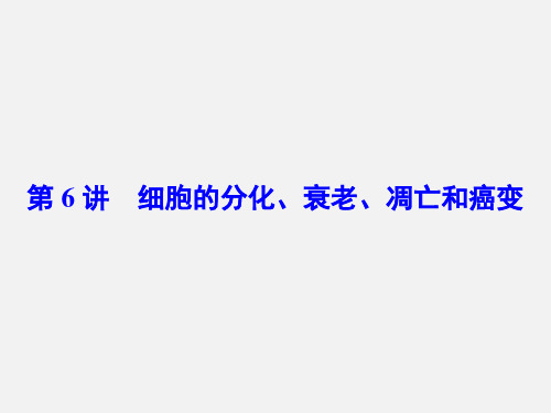 高考生物 二轮复习 专题讲练突破 专题3 第6讲 细胞的分化、衰老、凋亡和癌变