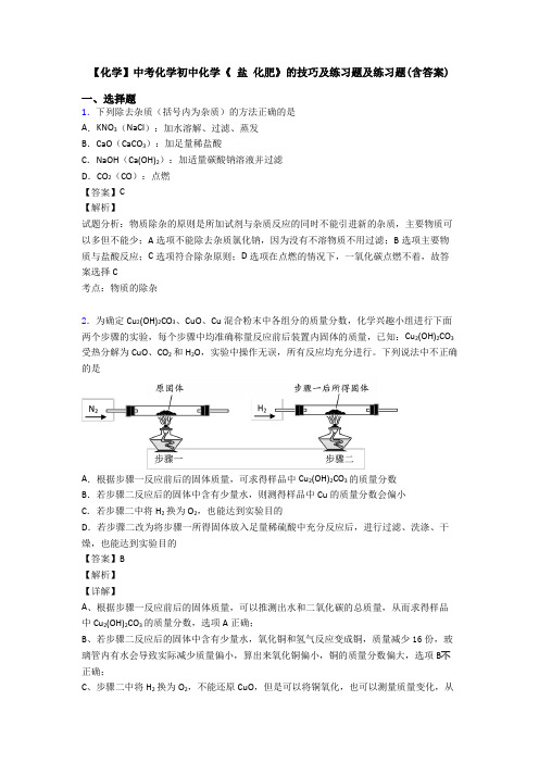 【化学】中考化学初中化学《 盐 化肥》的技巧及练习题及练习题(含答案)