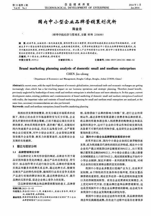 国内中小型企业品牌营销策划浅析