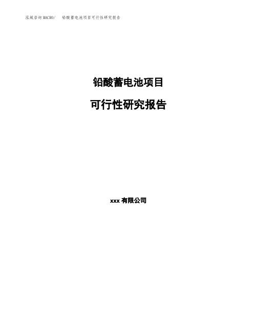 【范文】铅酸蓄电池项目可行性研究报告 (1)