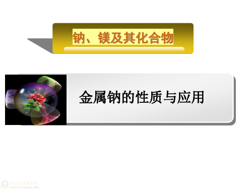 苏教版化学必修一2.2.1金属钠的性质和应用 课件 (共12张PPT)