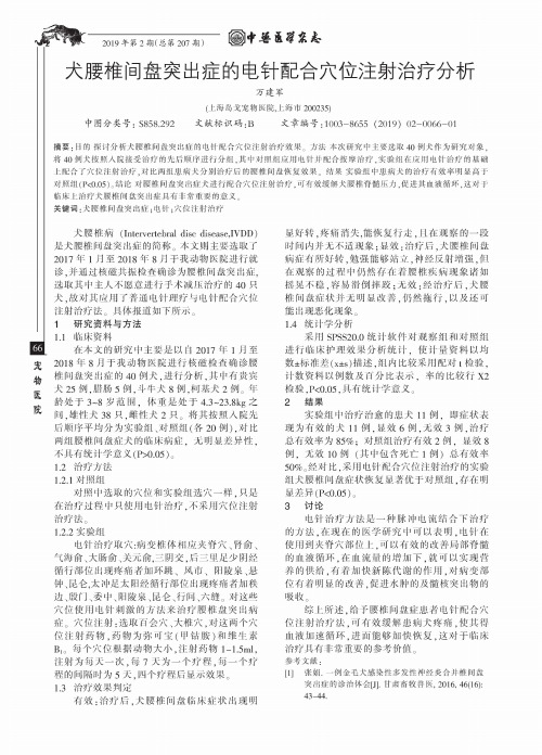 犬腰椎间盘突出症的电针配合穴位注射治疗分析