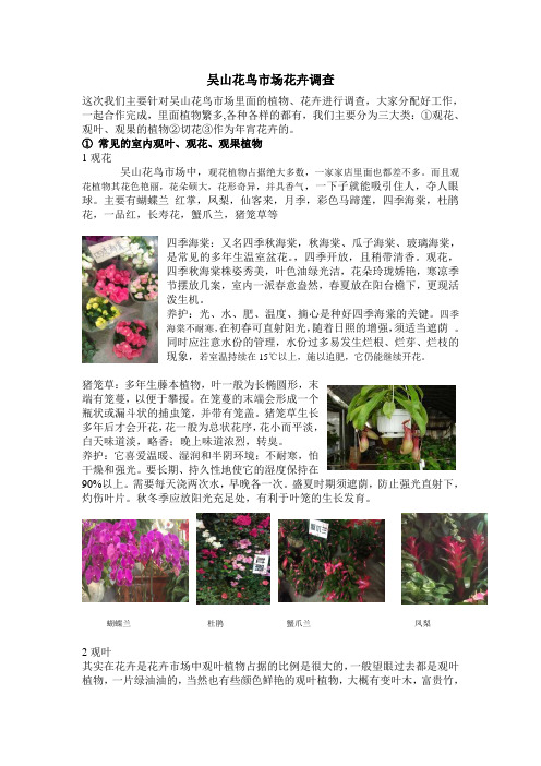 吴山花鸟市场花卉调查报告 精品