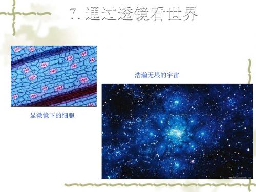 八年级物理上册课件(新版 教科版)第4章 在光的世界里 7.通过透镜看世界 (共17张PPT)