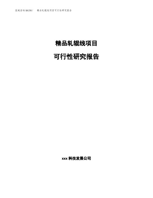 精品轧辊线项目可行性研究报告