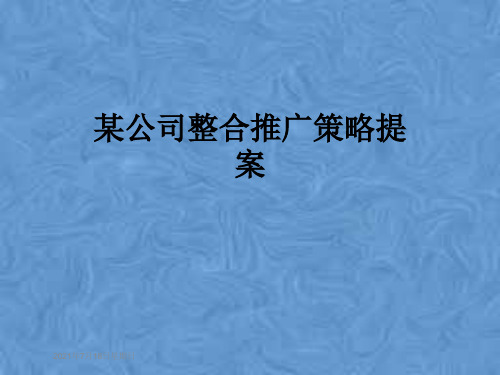 某公司整合推广策略提案