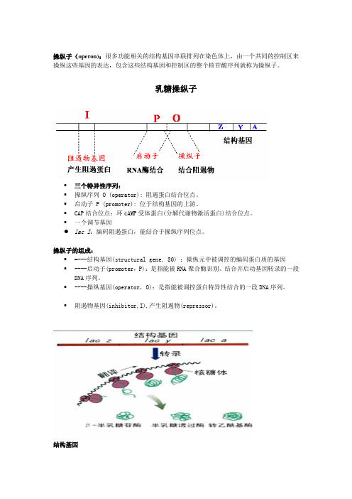 (精选)乳糖操纵子简介
