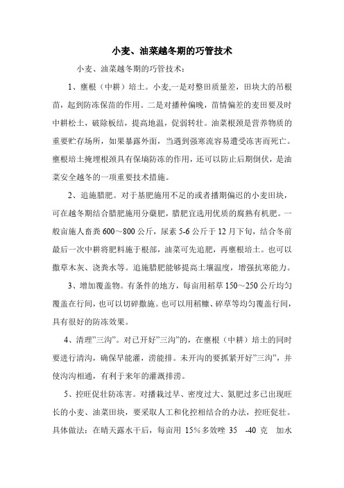 小麦、油菜越冬期的巧管技术.doc