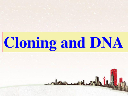 Cloning and DNA 课文二讲解