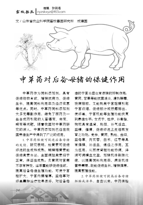 中草药对后备母猪的保健作用