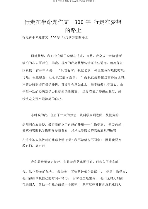行走在半命题作文800字行走在梦想路上