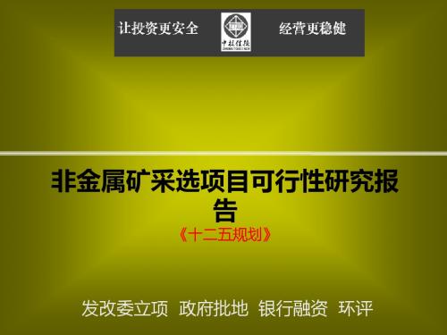 非金属矿采选项目可行性研究报告