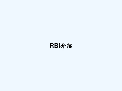 RBI介绍 PPT