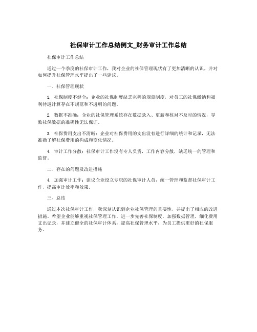 社保审计工作总结例文_财务审计工作总结