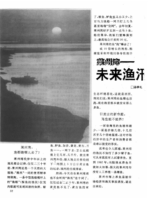 莱州湾——未来渔汛不是梦
