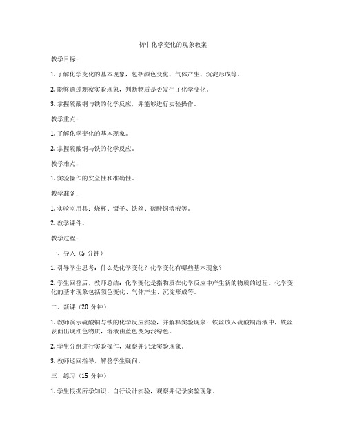初中化学变化的现象教案