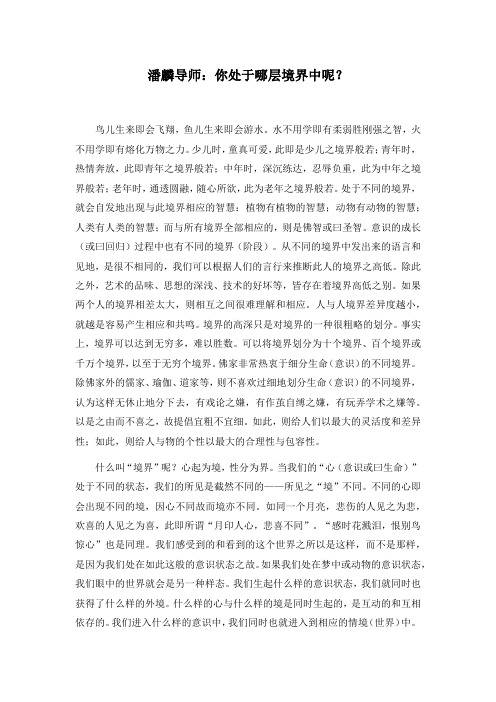 潘麟导师：你处于哪层境界中呢？