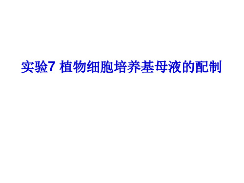 7_实验七_母液配制