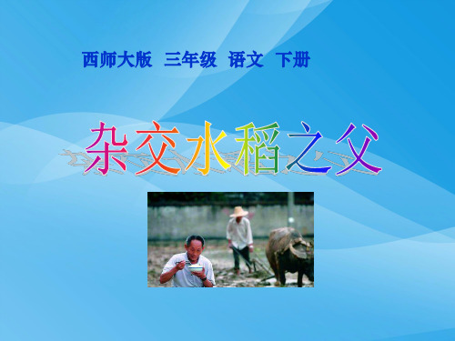 西师大版小学三年级下册语文第35课《杂交水稻之父PPT课件》课件PPT