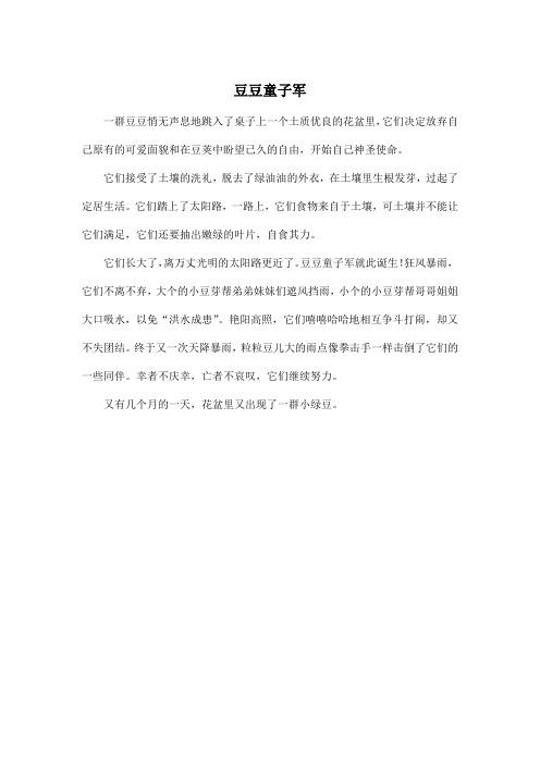 豆豆童子军_小学五年级作文300字