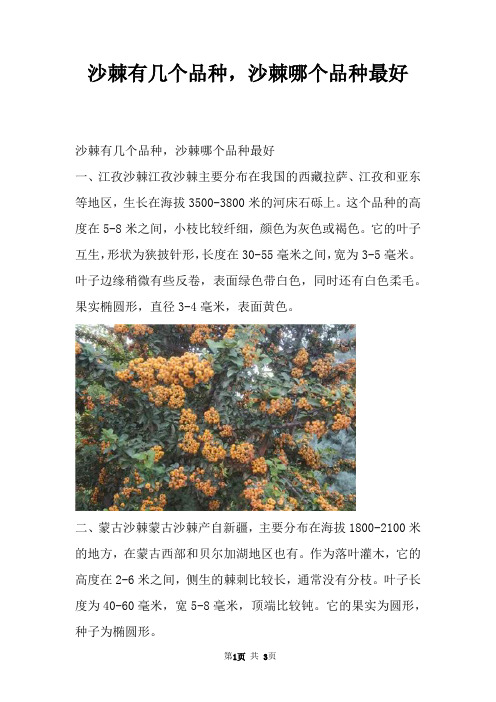 沙棘有几个品种，沙棘哪个品种最好