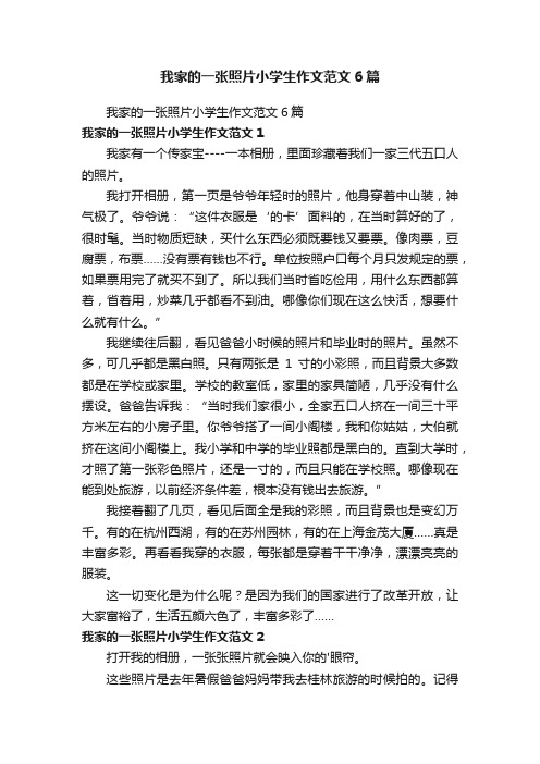 我家的一张照片小学生作文范文6篇