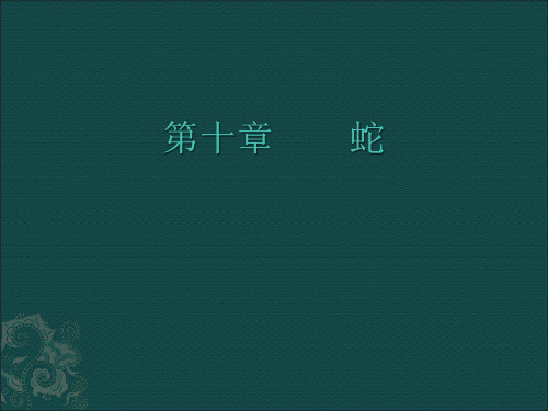 经济动物学第十章蛇1