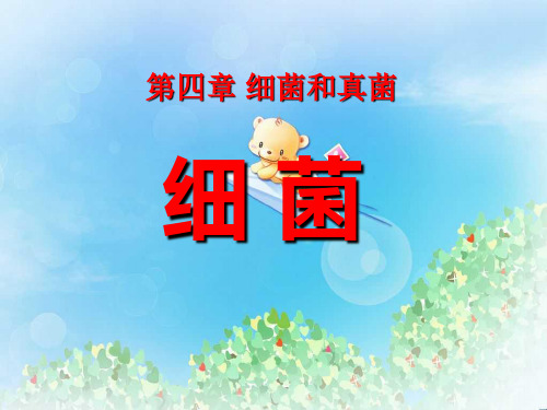 《细菌》细菌和真菌PPT5  图文