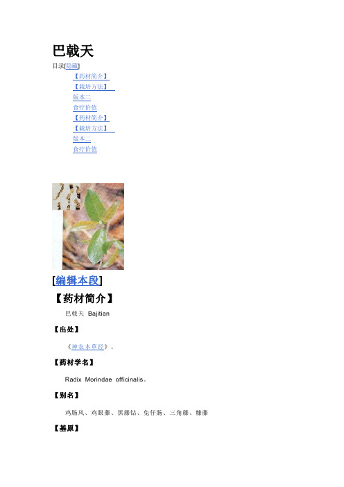 巴戟天