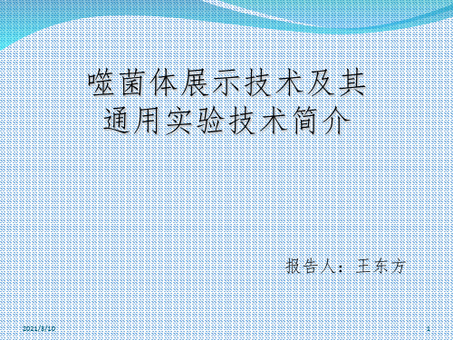 噬菌体展示技术和其通用实验技术简介课件PPT