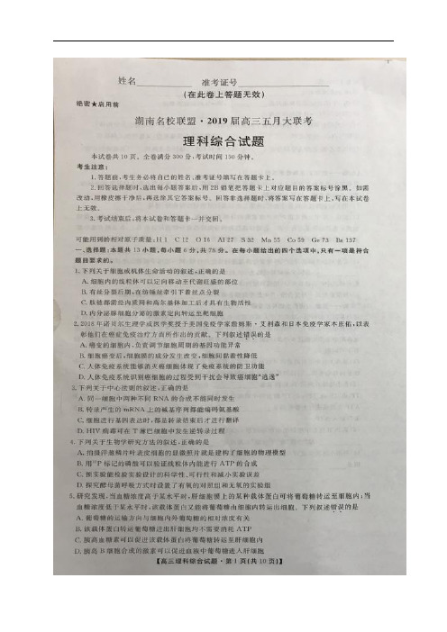湖南名校联盟2019届高三五月大联考理科综合试题pdf