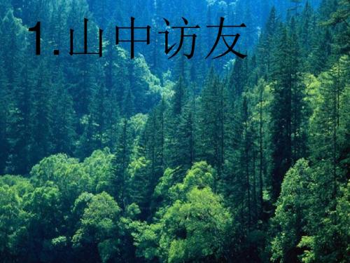 山中访友第二课时山中访友第二课时