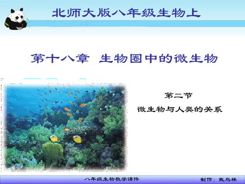 微生物与人类的关系详解