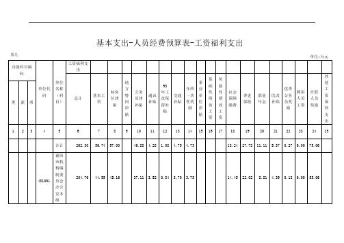 基本支出-人员经费预算表-工资福利支出