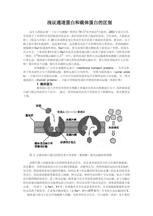 浅议通道蛋白和载体蛋白的区别