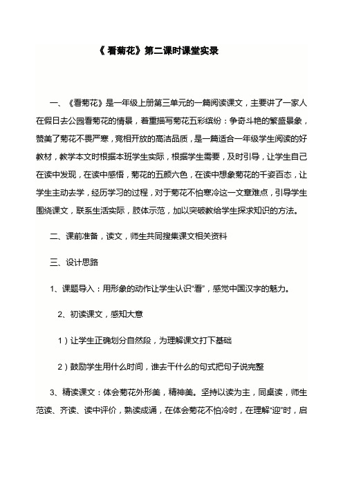 看菊花