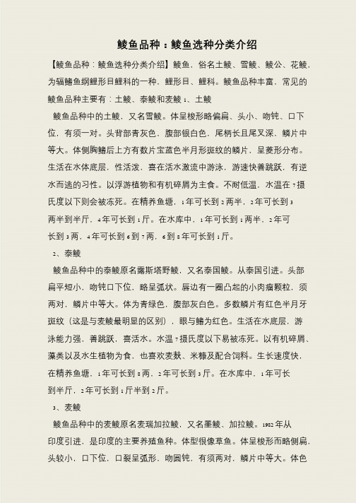 鲮鱼品种：鲮鱼选种分类介绍