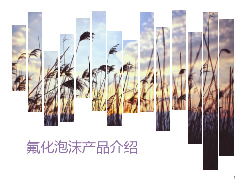 氟化泡沫ppt课件
