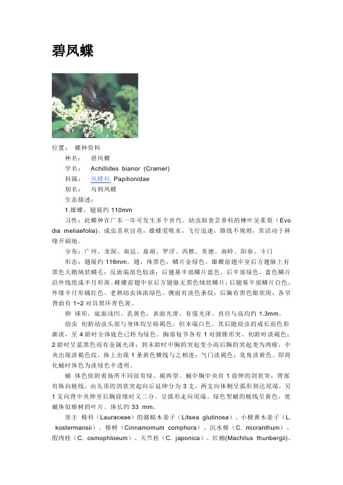 凤蝶科(Papilionidae)