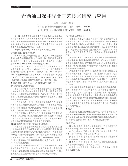 青西油田深井配套工艺技术研究与应用