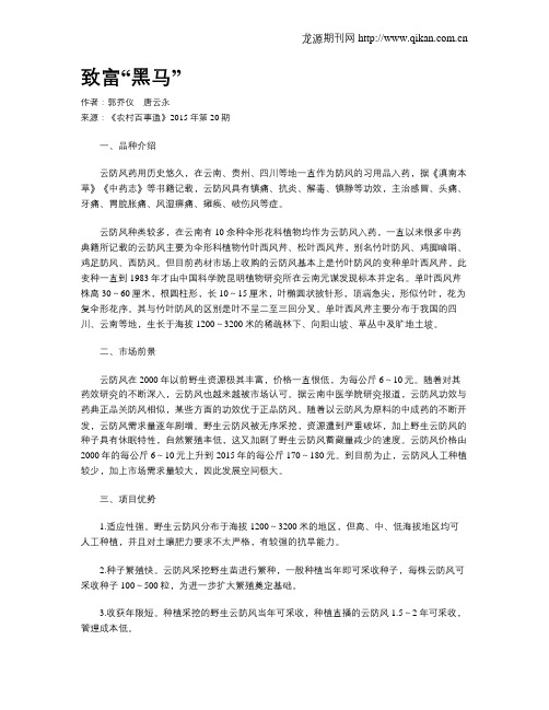 致富“黑马”