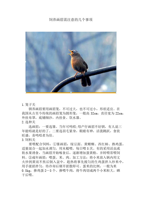 饲养画眉需注意的几个事项