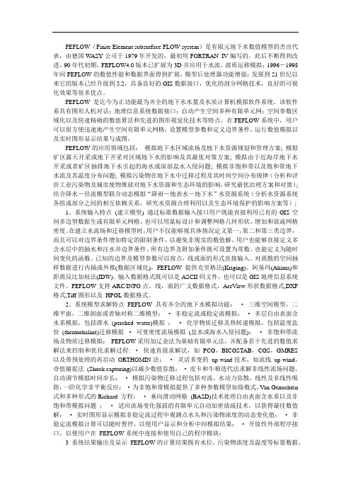 FEFLOW模型