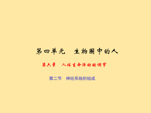 初中生物-体生命活动的调节-神经系统的组成课件3套