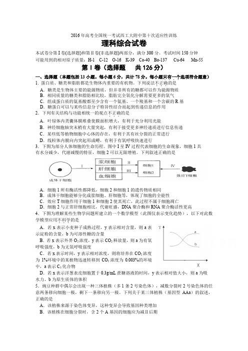 陕西西北工业大学附属中学2016高三第十次适应性考试理科综合试题 word含答案