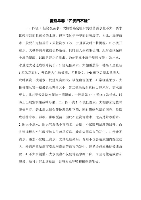 番茄早春“四浇四不浇”