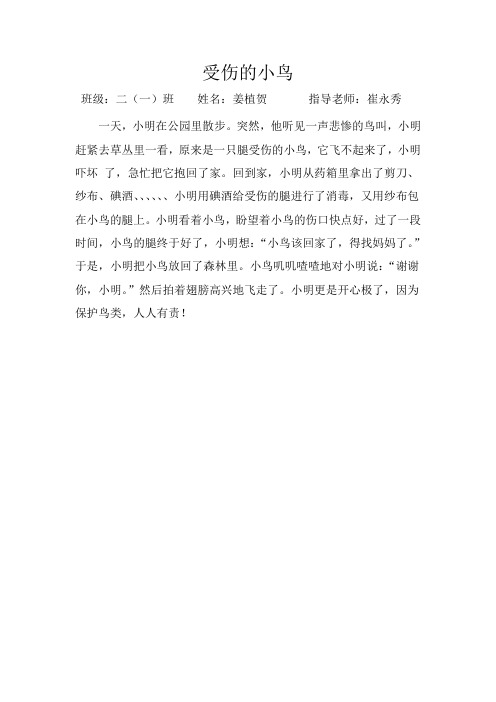 姜植贺--受伤的小鸟