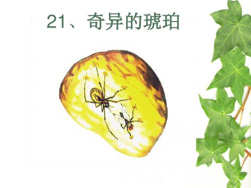 【语文S版】六年级上册语文课件：21 奇异的琥珀(共18张PPT)