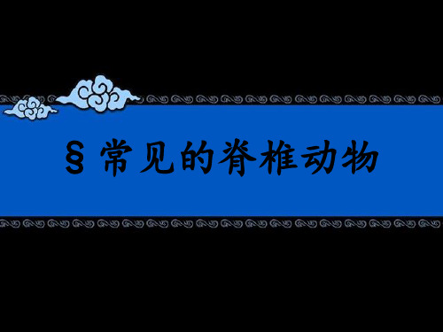 常见的脊椎动物